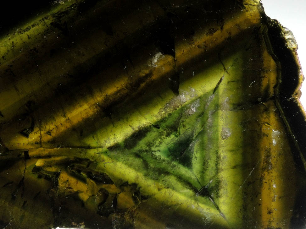 Liddicoatite Tourmaline from Anjanabonoina, near Antsirab, Betafo District, Vakinankaratra, Madagascar (Type Locality for Liddicoatite = near Antsirab)