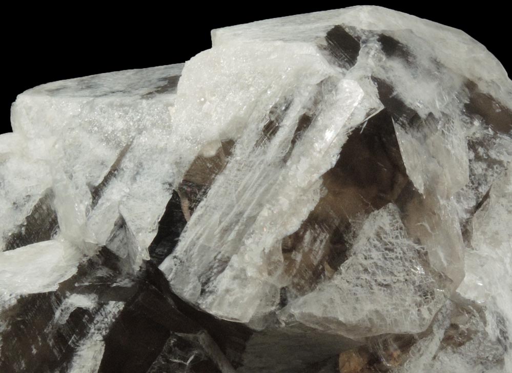 Quartz var. Smoky Quartz with white zoning from Havey Quarry, Poland, Androscoggin County, Maine