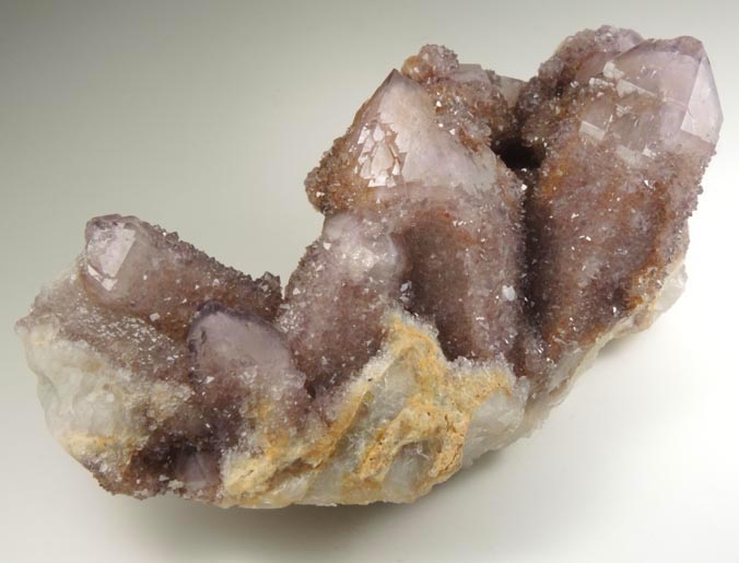 Quartz var. Amethyst (Cactus Quartz) from Boekenhouthoek area, Mpumalanga Province, South Africa