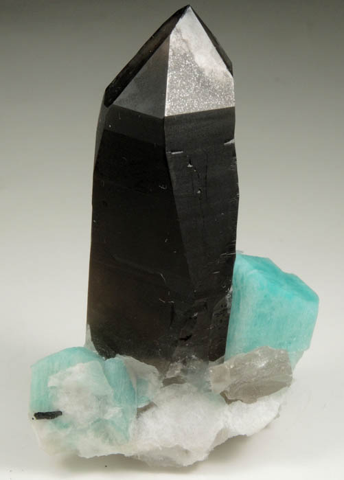 Quartz var. Smoky with Microcline var. Amazonite from Smoky Hawk Mine, Lucky Monday Pocket, Florissant, Teller County, Colorado