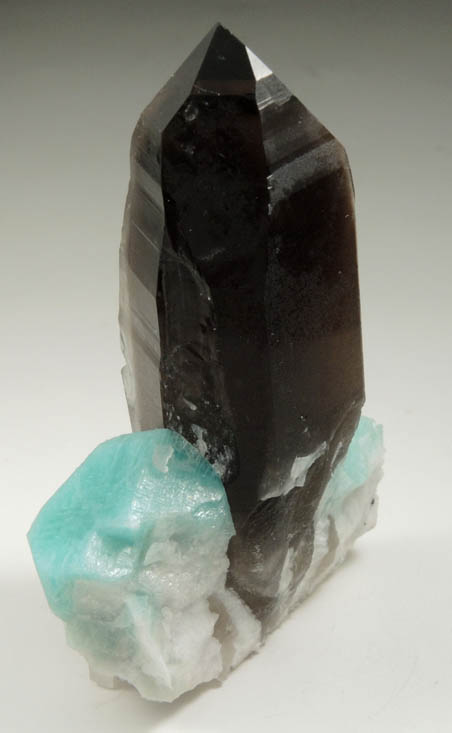 Quartz var. Smoky with Microcline var. Amazonite from Smoky Hawk Mine, Lucky Monday Pocket, Florissant, Teller County, Colorado