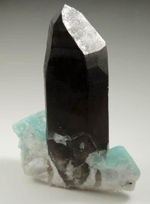 Quartz var. Smoky with Microcline var. Amazonite from Smoky Hawk Mine, Lucky Monday Pocket, Florissant, Teller County, Colorado