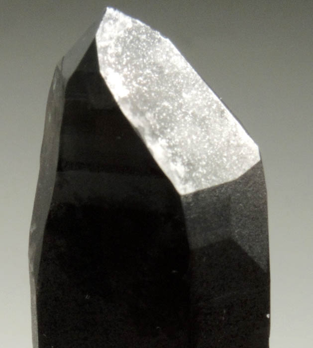 Quartz var. Smoky with Microcline var. Amazonite from Smoky Hawk Mine, Lucky Monday Pocket, Florissant, Teller County, Colorado