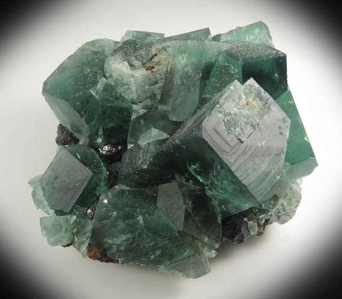 Fluorite over Galena from Diana Maria Mine, Rogerley Quarry, County Durham, England