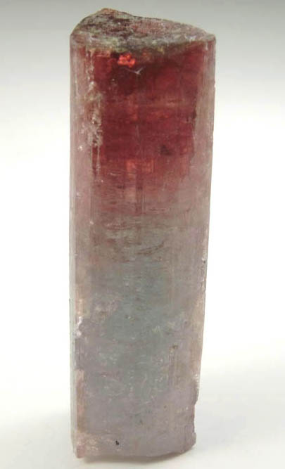 Elbaite Tourmaline from Pederneira Mine, Sao Jose da Safira, Minas Gerais, Brazil