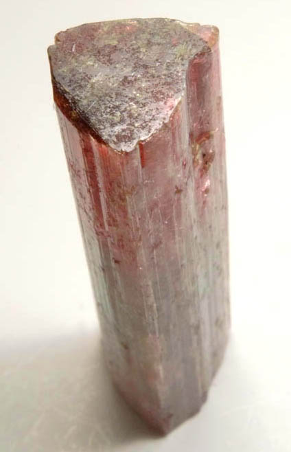 Elbaite Tourmaline from Pederneira Mine, Sao Jose da Safira, Minas Gerais, Brazil