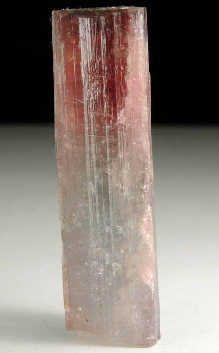 Elbaite Tourmaline from Pederneira Mine, Sao Jose da Safira, Minas Gerais, Brazil