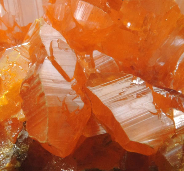 Orpiment from Twin Creeks Mine, Cut 62, Humboldt County, Nevada