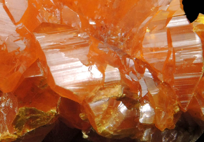 Orpiment from Twin Creeks Mine, Cut 62, Humboldt County, Nevada