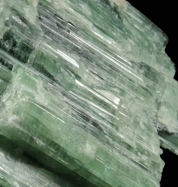 Elbaite Tourmaline from Havey Quarry, Poland, Androscoggin County, Maine