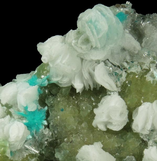 Aurichalcite and Calcite on Smithsonite from 79 Mine, Banner District, near Hayden, Gila County, Arizona