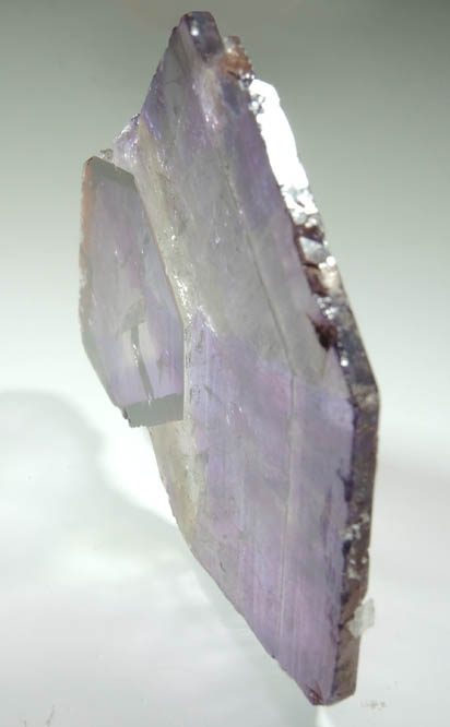 Quartz var. Amethyst (sector-zoned crystal slice) from Hyderabad, Andhra Pradesh, India