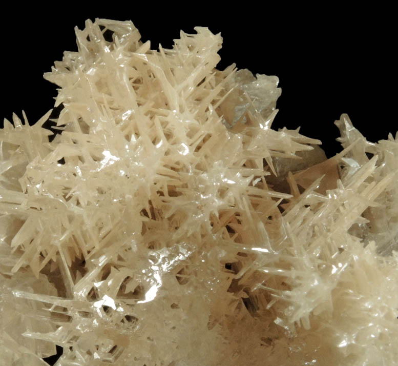 Cerussite (twinned reticulated crystals) from Vein #5, 200 Meter Level, Nakhlak Mine, Anarak District, Esfahan Province, Iran