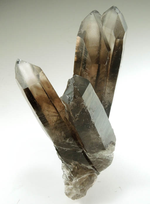 Quartz var. Smoky Quartz from Smoky Bear Quartz Claim, Sierra Blanca, White Mountain Wilderness, Lincoln County, New Mexico