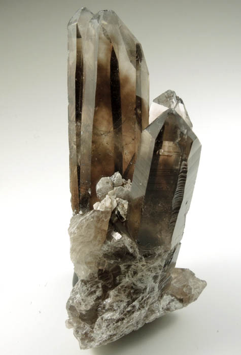 Quartz var. Smoky Quartz from Smoky Bear Quartz Claim, Sierra Blanca, White Mountain Wilderness, Lincoln County, New Mexico