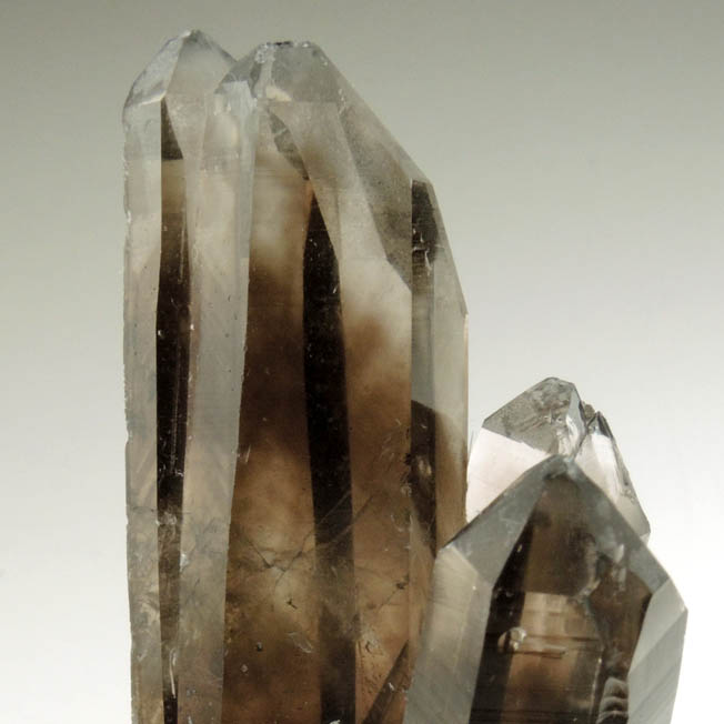 Quartz var. Smoky Quartz from Smoky Bear Quartz Claim, Sierra Blanca, White Mountain Wilderness, Lincoln County, New Mexico