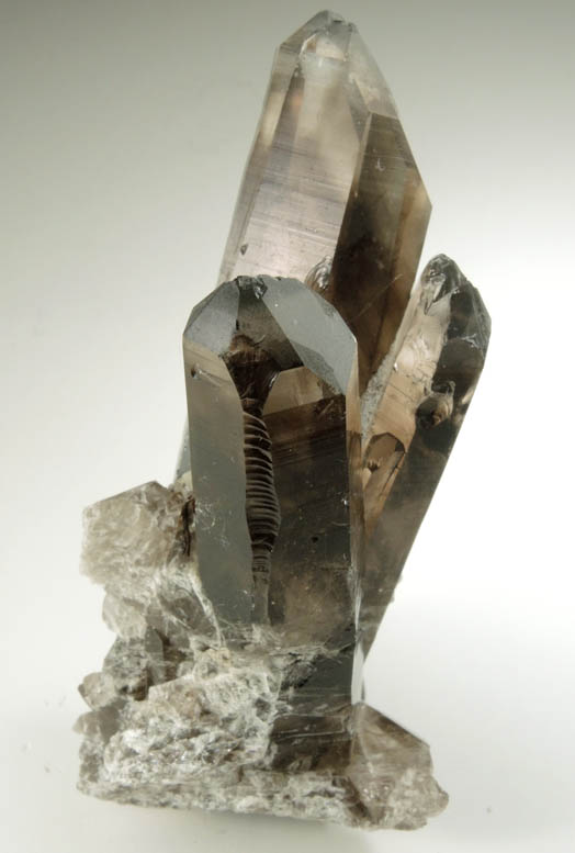 Quartz var. Smoky Quartz from Smoky Bear Quartz Claim, Sierra Blanca, White Mountain Wilderness, Lincoln County, New Mexico