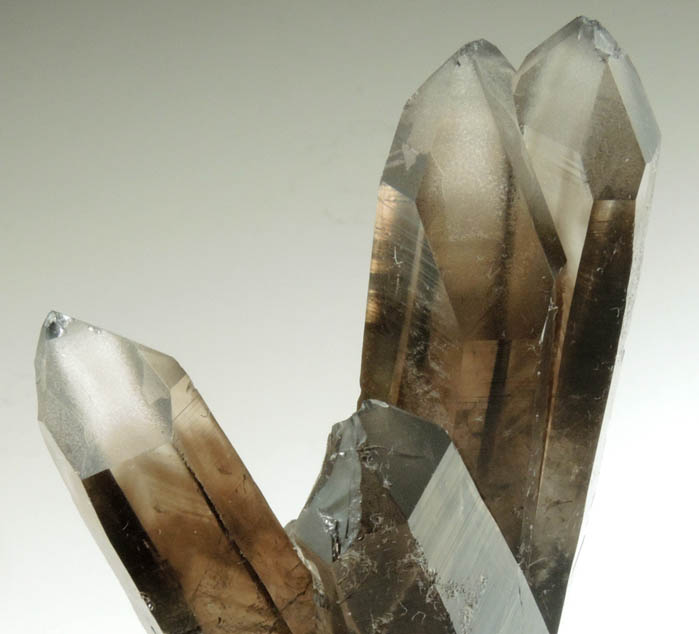 Quartz var. Smoky Quartz from Smoky Bear Quartz Claim, Sierra Blanca, White Mountain Wilderness, Lincoln County, New Mexico