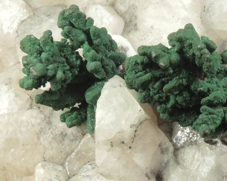 Copper coated with Malachite on Calcite from Keweenaw Peninsula Copper District, Houghton County, Michigan