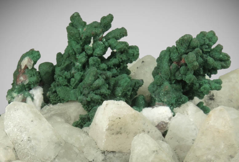 Copper coated with Malachite on Calcite from Keweenaw Peninsula Copper District, Houghton County, Michigan