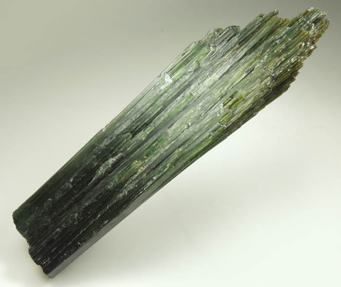 Elbaite Tourmaline from Chi Mine, So Jos da Safira, Minas Gerais, Brazil