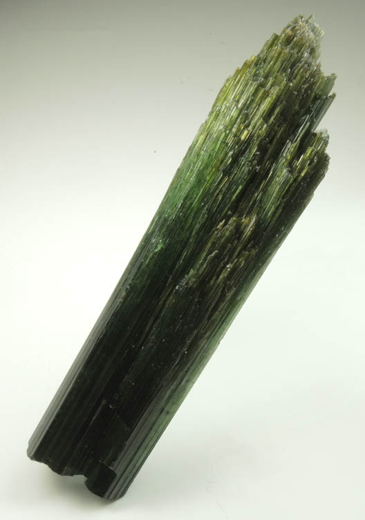 Elbaite Tourmaline from Chi Mine, So Jos da Safira, Minas Gerais, Brazil