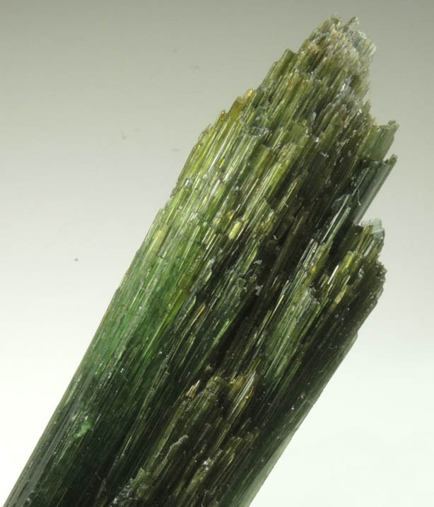 Elbaite Tourmaline from Chi Mine, So Jos da Safira, Minas Gerais, Brazil