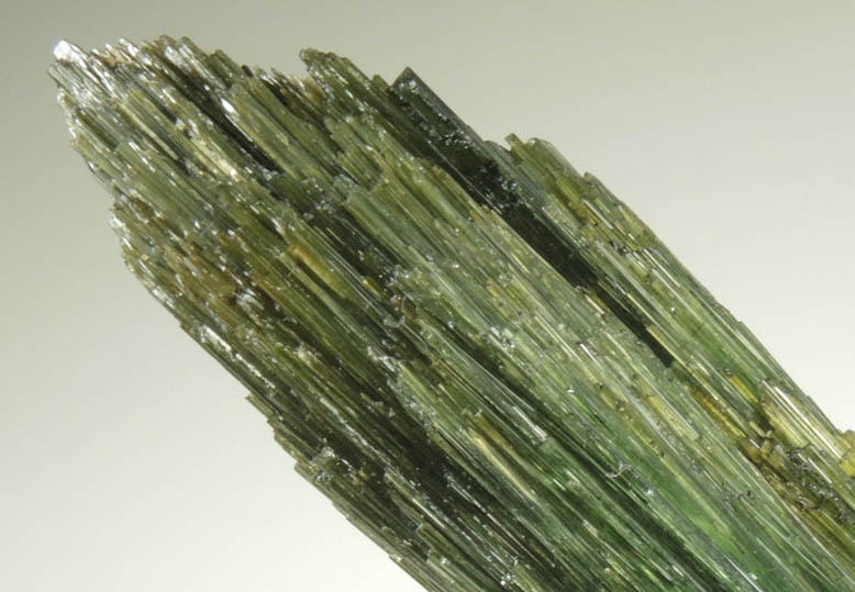 Elbaite Tourmaline from Chi Mine, So Jos da Safira, Minas Gerais, Brazil