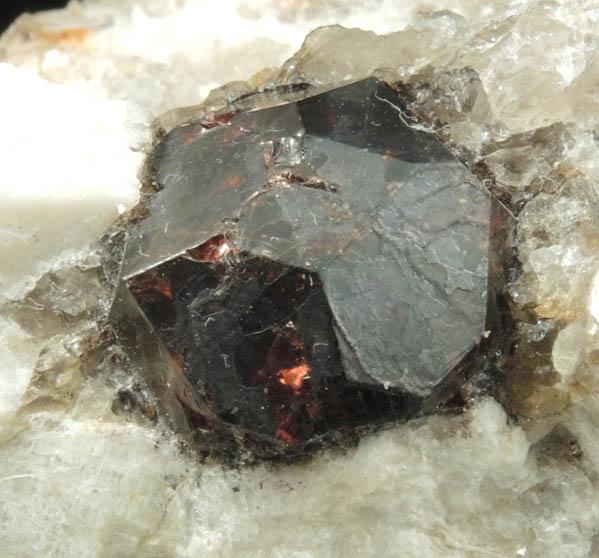 Almandine Garnet in Albite-Muscovite from Hedgehog Hill Quarry, Peru, Oxford County, Maine