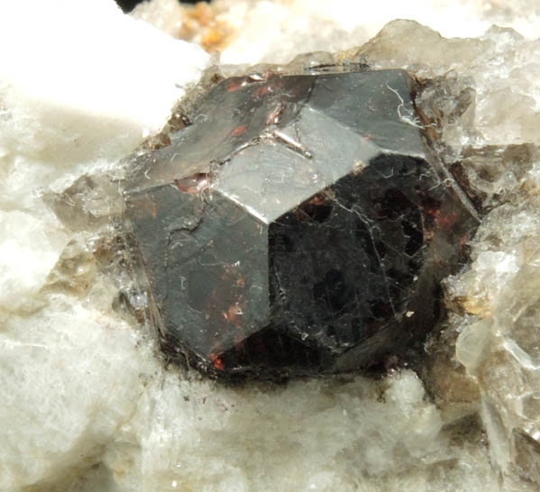 Almandine Garnet in Albite-Muscovite from Hedgehog Hill Quarry, Peru, Oxford County, Maine