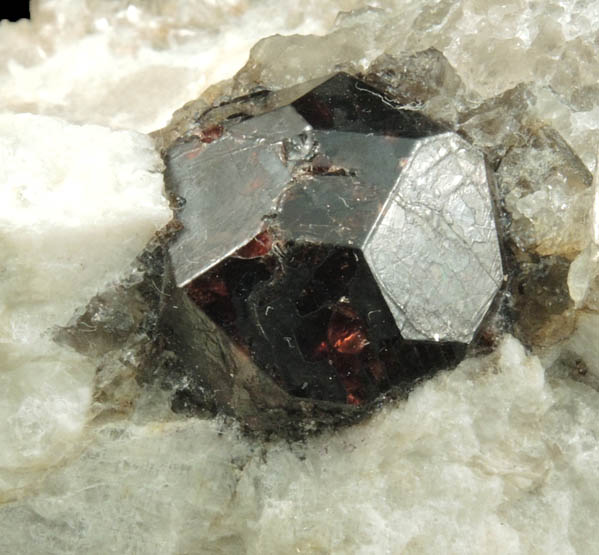 Almandine Garnet in Albite-Muscovite from Hedgehog Hill Quarry, Peru, Oxford County, Maine