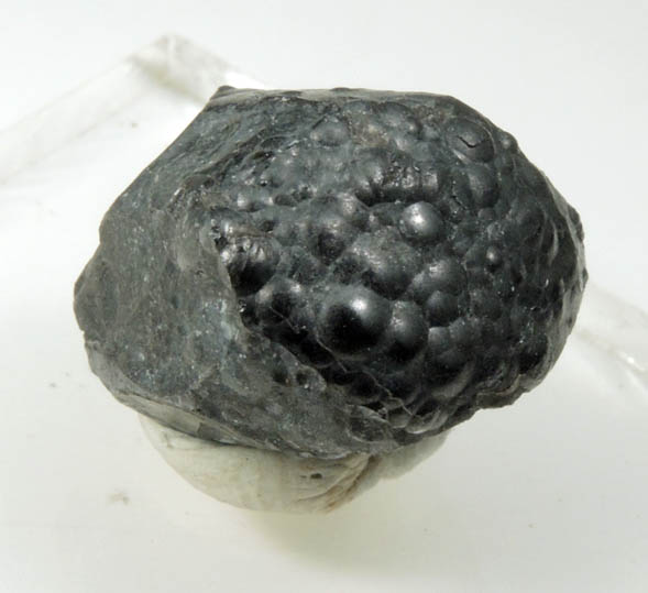 Uraninite from Príbram, Bohemia, Czech Republic