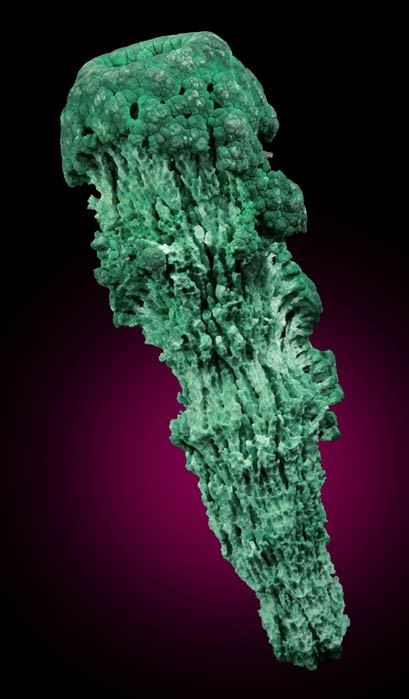 Malachite hollow stalactite from Musonoi Mine, Kolwezi District, Katanga Copperbelt, Lualaba Province, Democratic Republic of the Congo