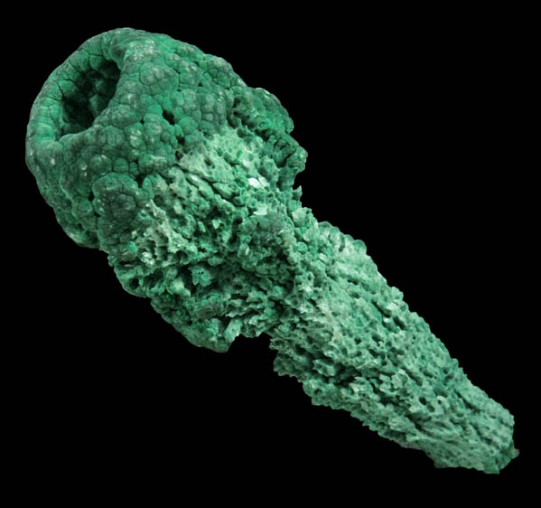 Malachite hollow stalactite from Musonoi Mine, Kolwezi District, Katanga Copperbelt, Lualaba Province, Democratic Republic of the Congo