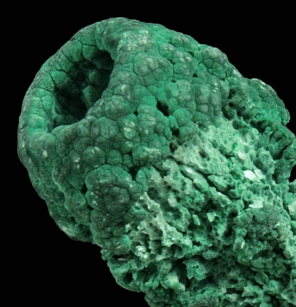 Malachite hollow stalactite from Musonoi Mine, Kolwezi District, Katanga Copperbelt, Lualaba Province, Democratic Republic of the Congo