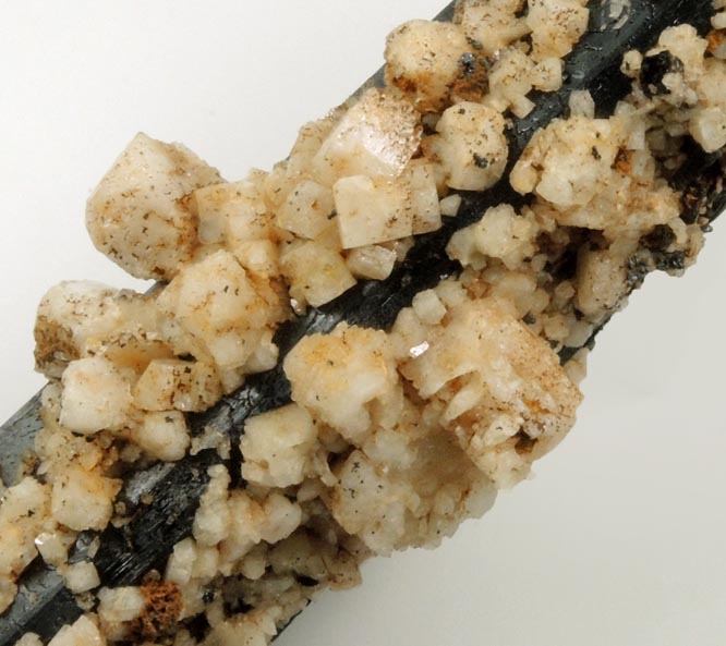 Aegirine with Albite from 5 km NE of Malosa Mountain, Zomba District, Malawi