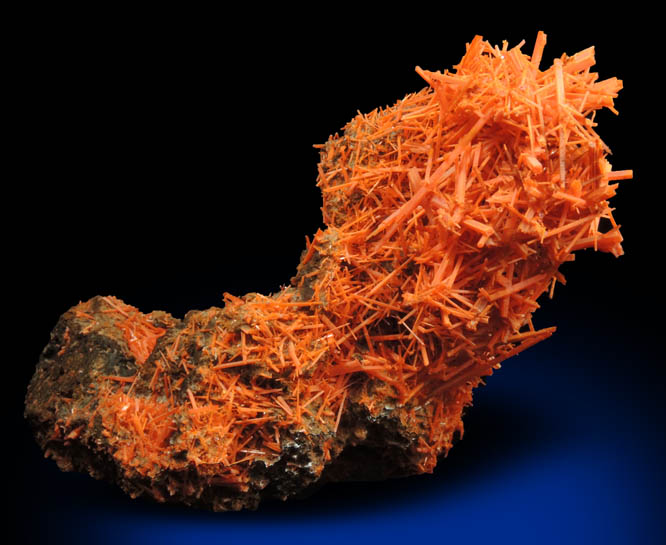 Crocoite from Adelaide Mine, Red River Pocket, Dundas, Tasmania, Australia