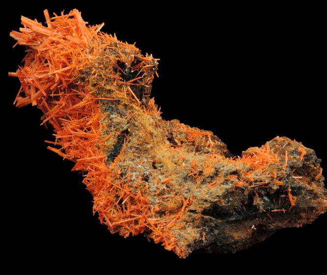 Crocoite from Adelaide Mine, Red River Pocket, Dundas, Tasmania, Australia