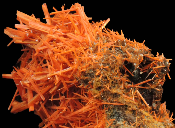 Crocoite from Adelaide Mine, Red River Pocket, Dundas, Tasmania, Australia