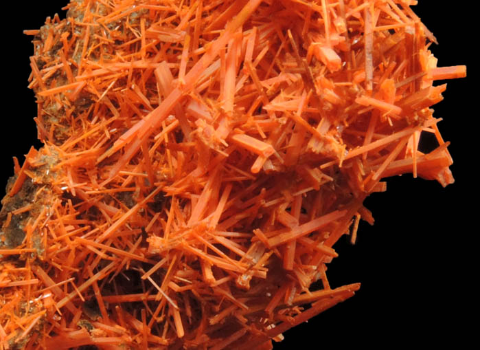 Crocoite from Adelaide Mine, Red River Pocket, Dundas, Tasmania, Australia