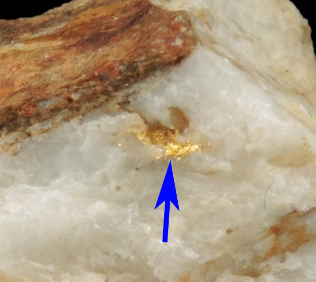 Gold in Quartz from Croagh Patrick, Lecanvey Prospect, A Vein, County Mayo, Ireland