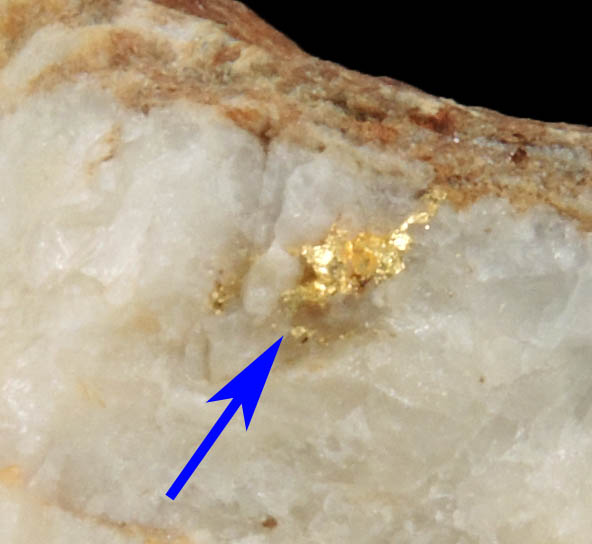 Gold in Quartz from Croagh Patrick, Lecanvey Prospect, A Vein, County Mayo, Ireland