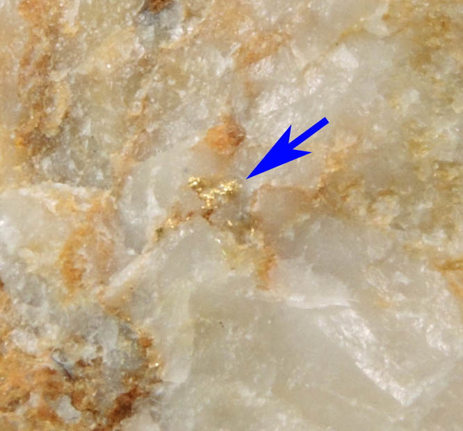 Gold in Quartz from Kilgeever Abbey, County Mayo, Ireland