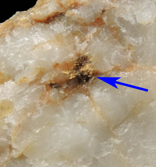 Gold in Quartz from Kilgeever Abbey, County Mayo, Ireland