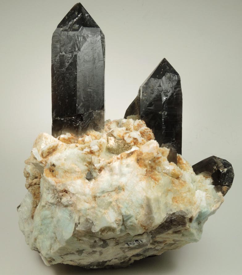 Quartz var. Smoky Quartz on Albite and Microcline from Moat Mountain, west of North Conway, Carroll County, New Hampshire