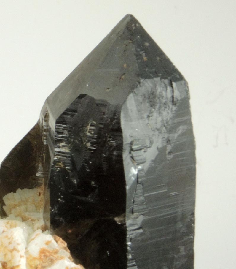 Quartz var. Smoky Quartz on Albite and Microcline from Moat Mountain, west of North Conway, Carroll County, New Hampshire
