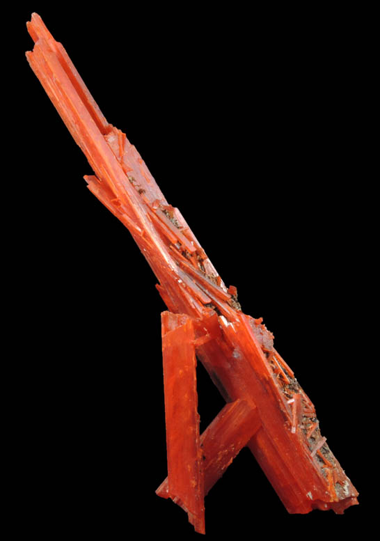 Crocoite from Adelaide Mine, 2010 Pocket, Dundas, Tasmania, Australia