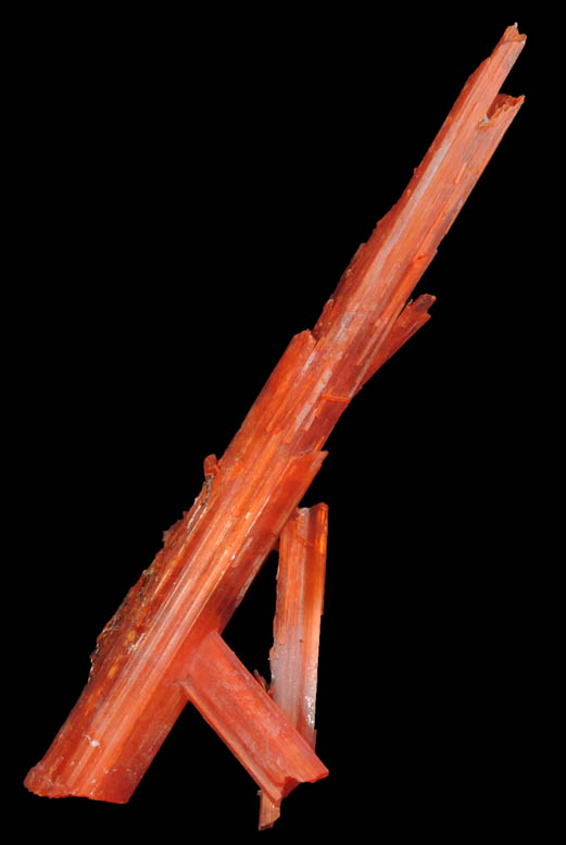 Crocoite from Adelaide Mine, 2010 Pocket, Dundas, Tasmania, Australia