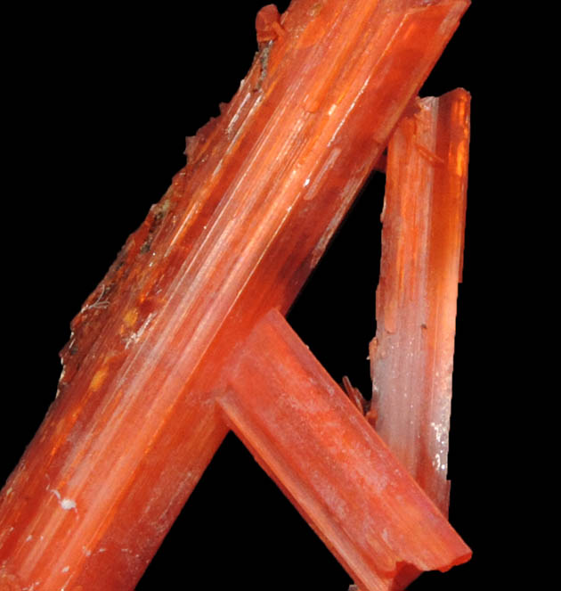 Crocoite from Adelaide Mine, 2010 Pocket, Dundas, Tasmania, Australia