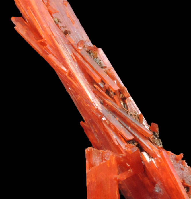 Crocoite from Adelaide Mine, 2010 Pocket, Dundas, Tasmania, Australia